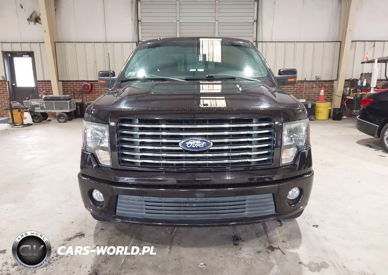 2010 Ford F150 Supercrew VIN:1FTFW1EV3AFB18173 - 12