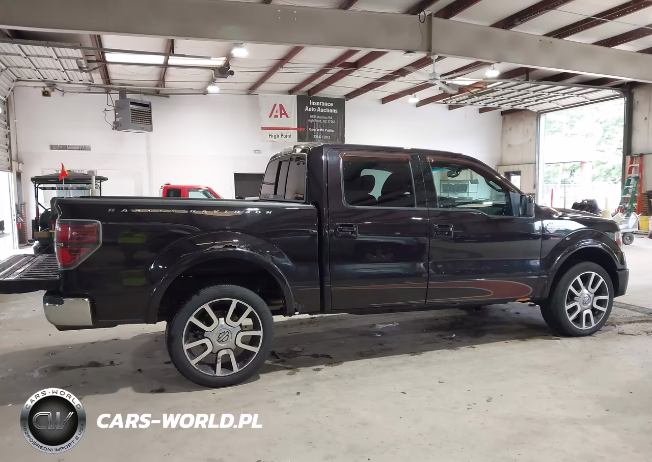 2010 Ford F150 Supercrew VIN:1FTFW1EV3AFB18173 - 13
