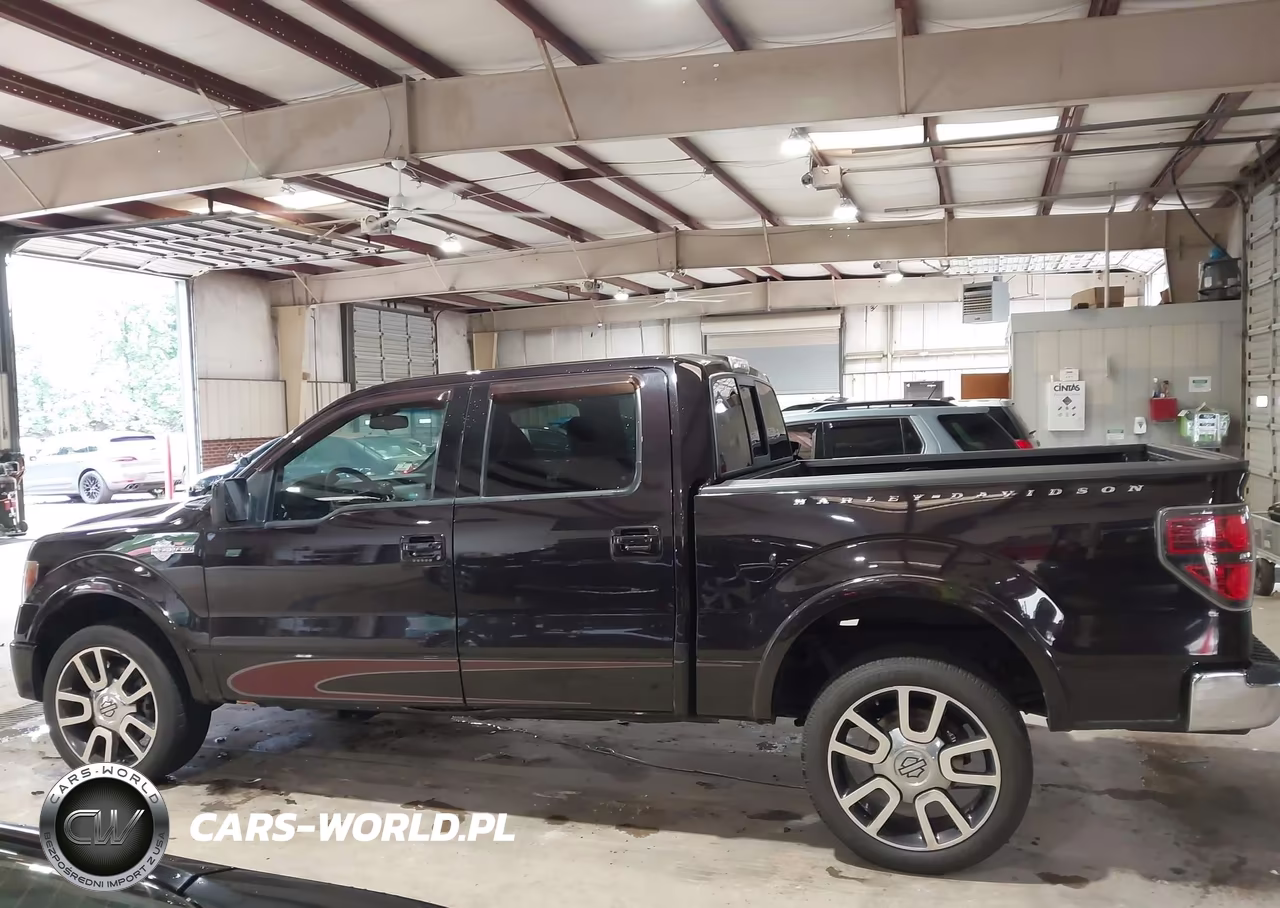 2010 Ford F150 Supercrew VIN:1FTFW1EV3AFB18173 - 14