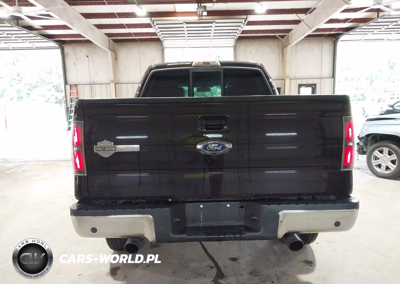 2010 Ford F150 Supercrew VIN:1FTFW1EV3AFB18173 - 16