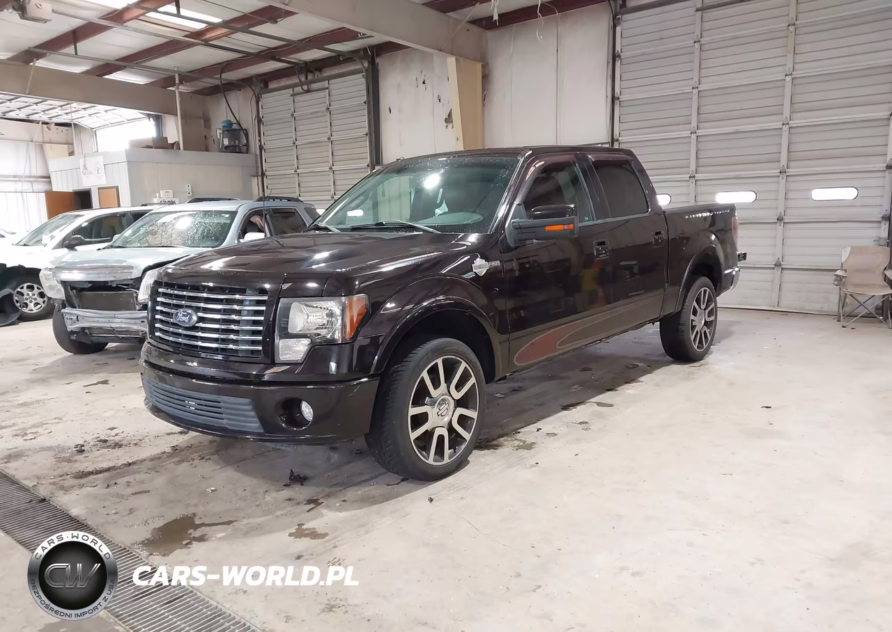 2010 Ford F150 Supercrew VIN:1FTFW1EV3AFB18173 - 2