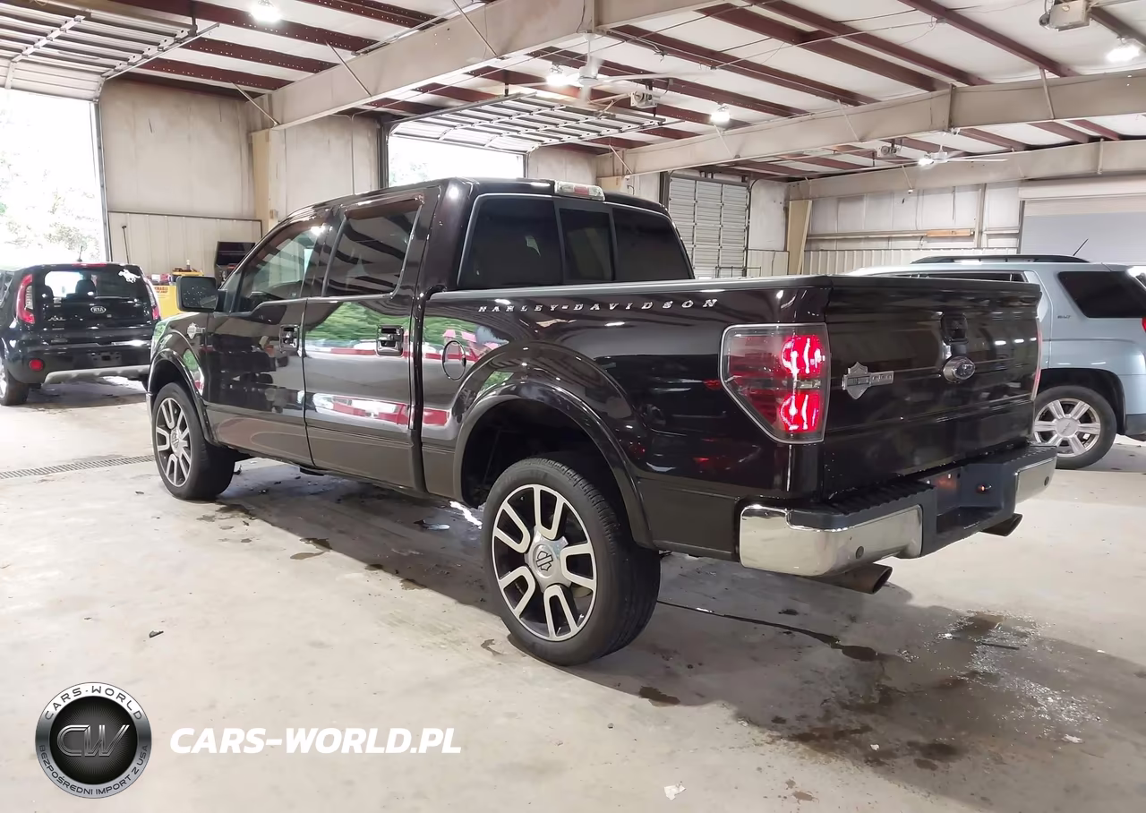 2010 Ford F150 Supercrew VIN:1FTFW1EV3AFB18173 - 3