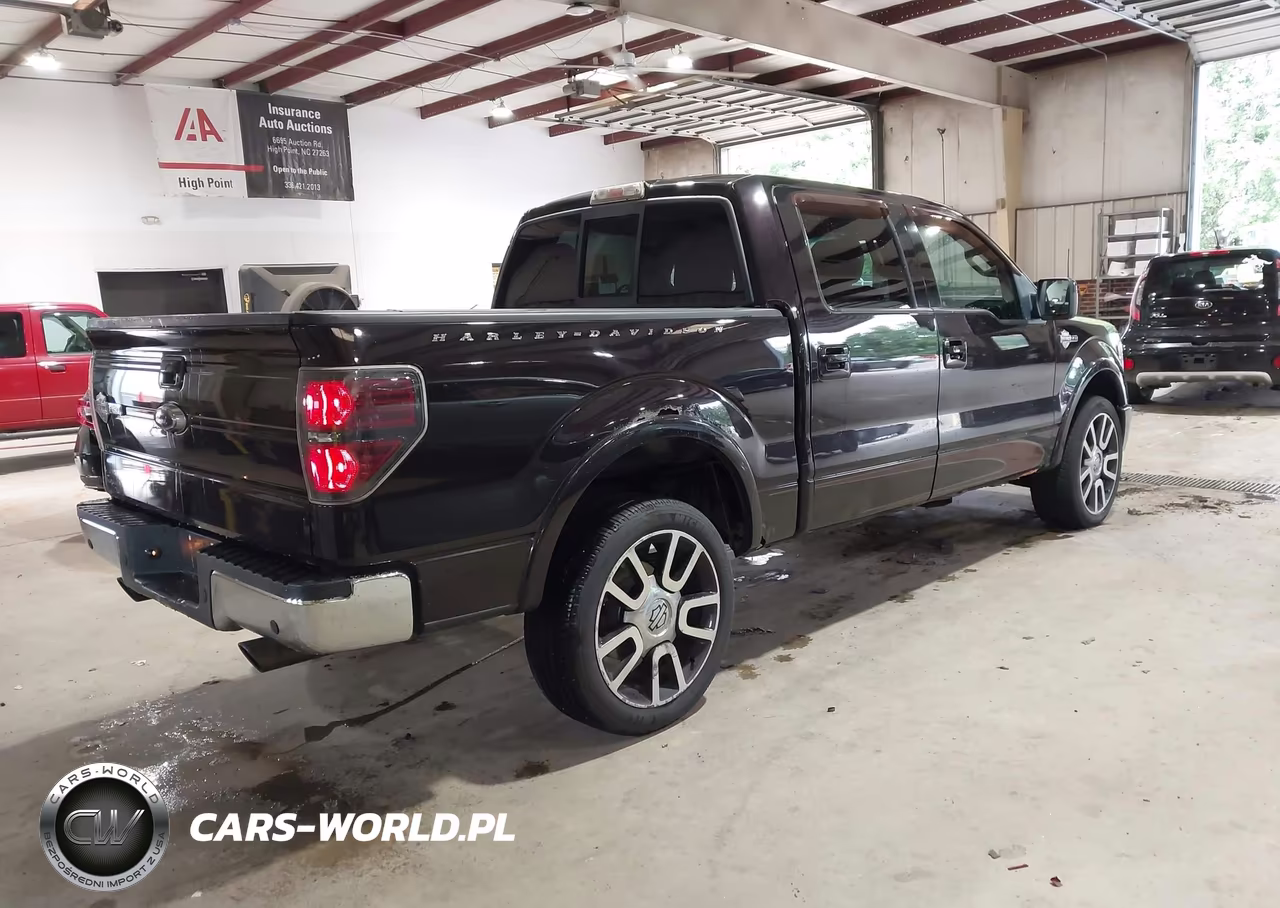 2010 Ford F150 Supercrew VIN:1FTFW1EV3AFB18173 - 4