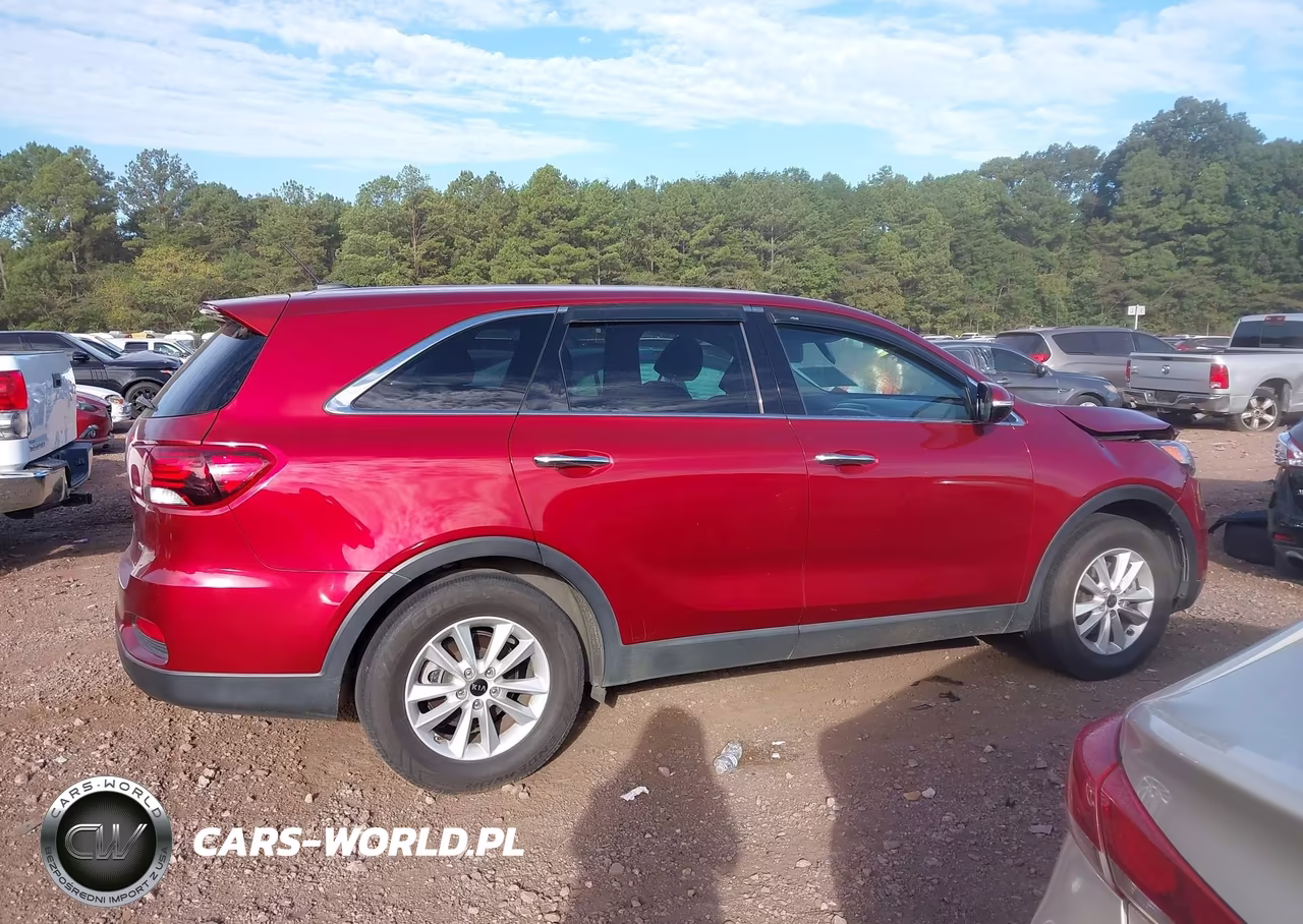 2020 Kia Sorento 2.4L Lx VIN:5XYPG4A34LG664990 - 13