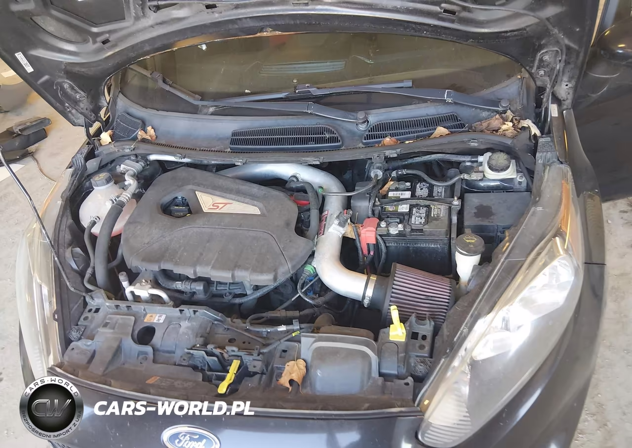 2014 Ford Fiesta St VIN:3FADP4GXXEM221672 - 10
