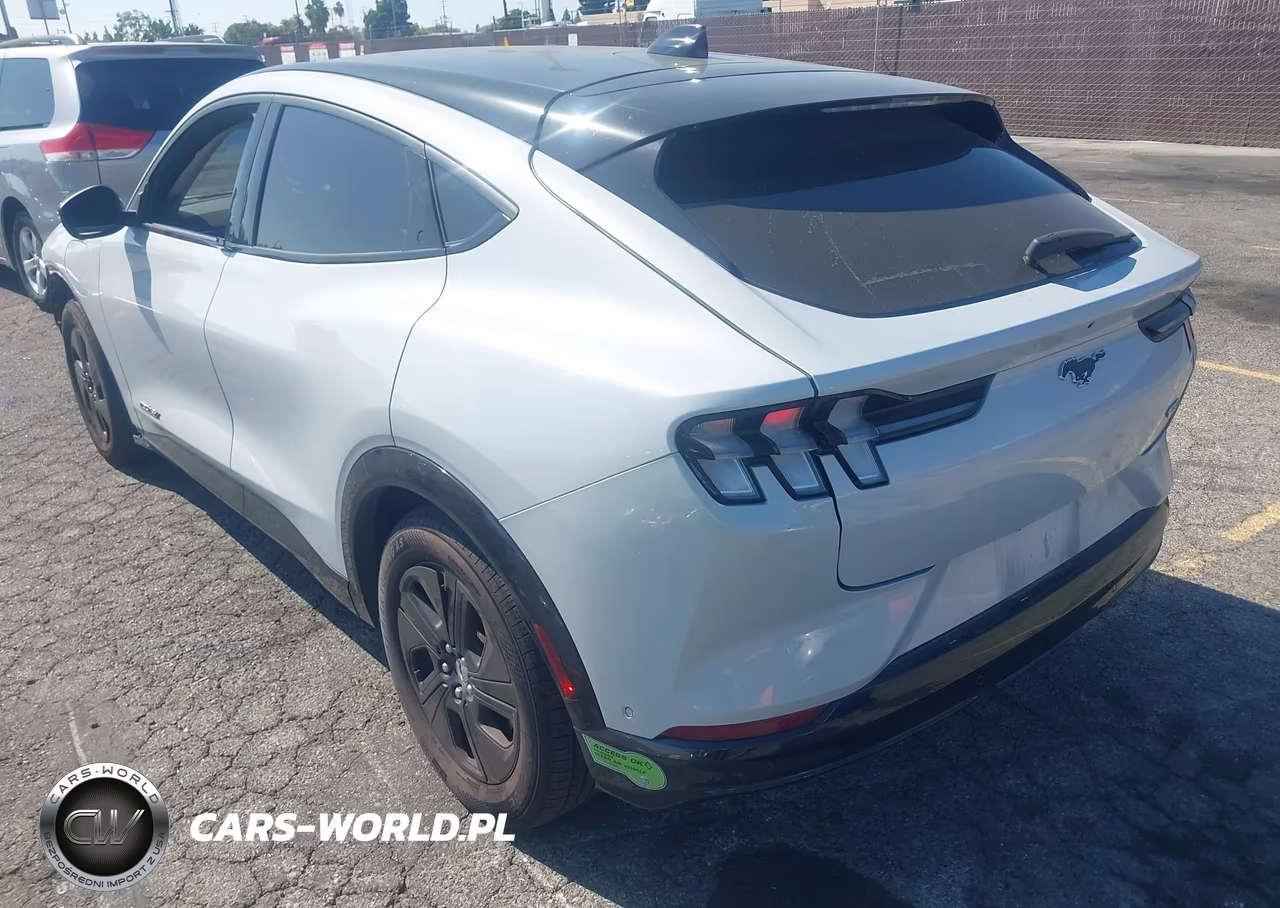 2023 Ford Mustang Mach-E California Route 1 VIN:3FMTK2SU4PMA06826 - 3