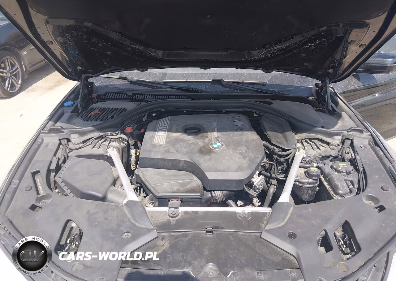 2019 BMW 530I VIN:WBAJA5C51KWW05809 - 10