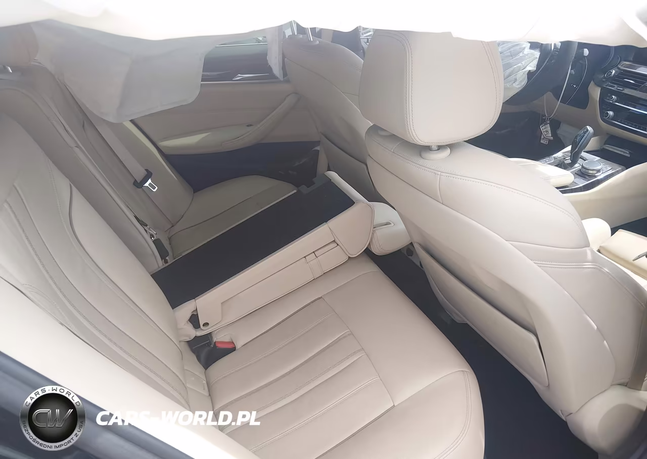 2019 BMW 530I VIN:WBAJA5C51KWW05809 - 8