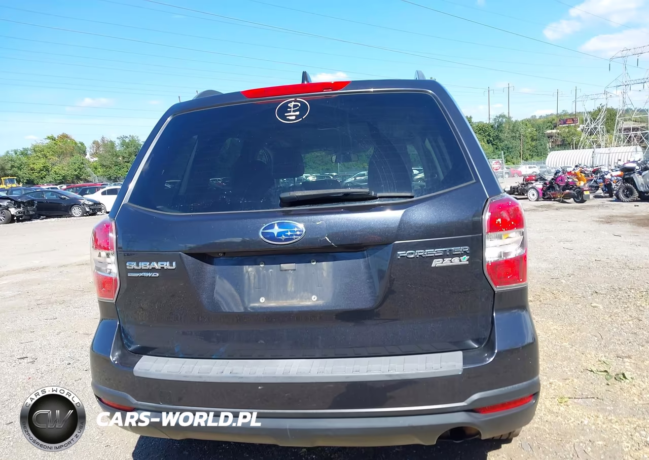 2016 Subaru Forester 2.5I Premium VIN:JF2SJADC5GH467427 - 17