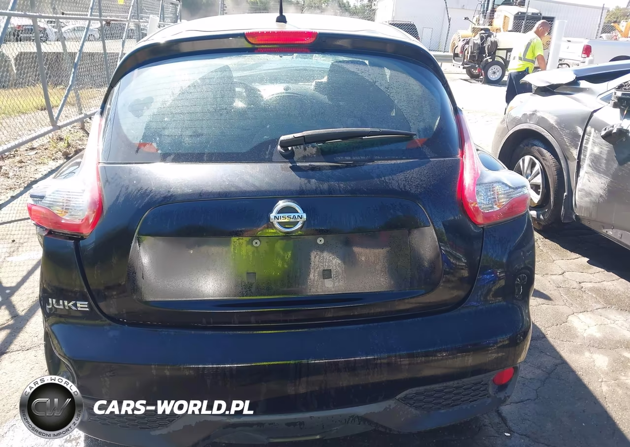 2015 Nissan Juke Nismo-S-Sl-Sv VIN:JN8AF5MR1FT506182 - 17