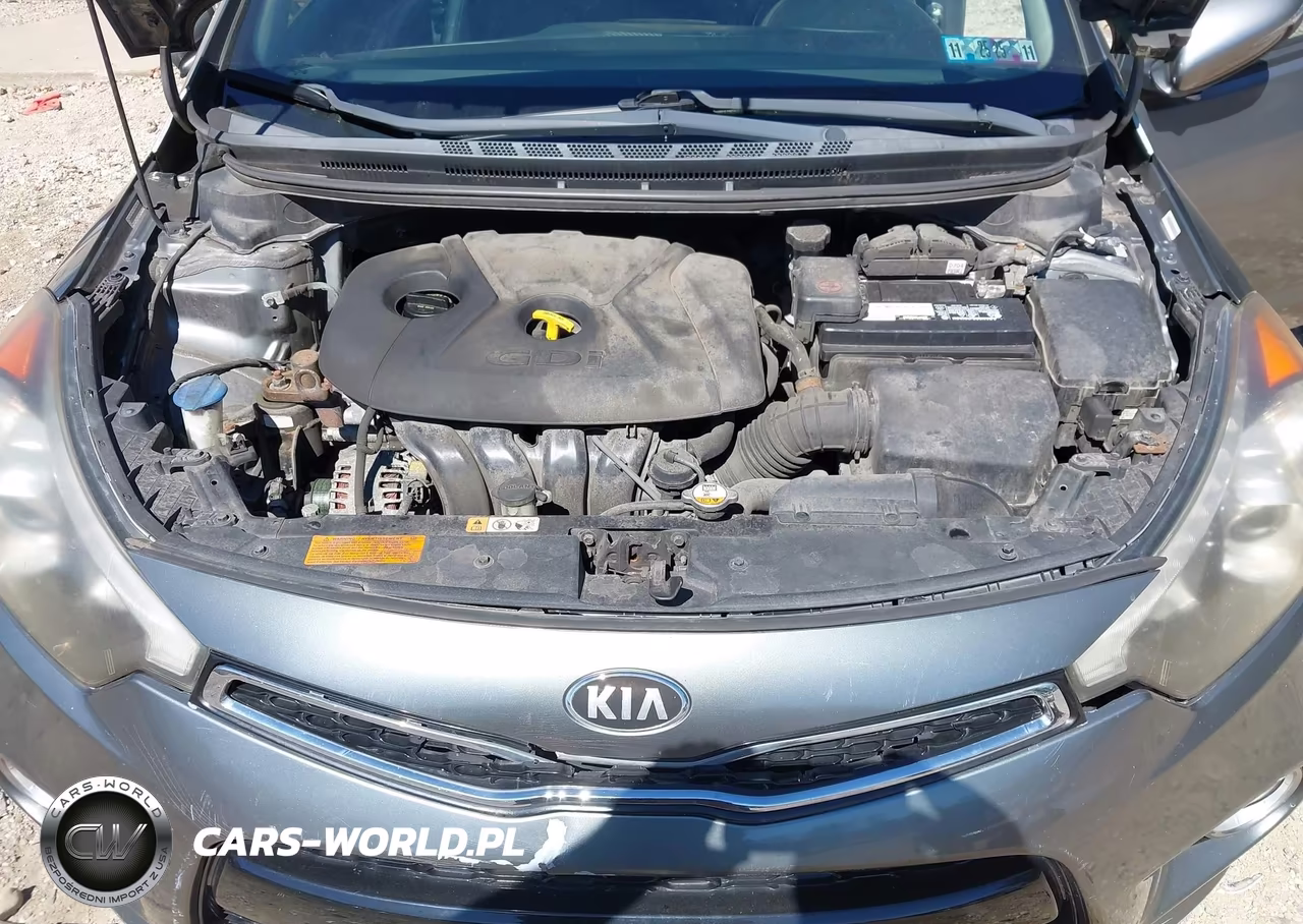2014 Kia Forte Koup Ex VIN:KNAFX6A80E5196235 - 10