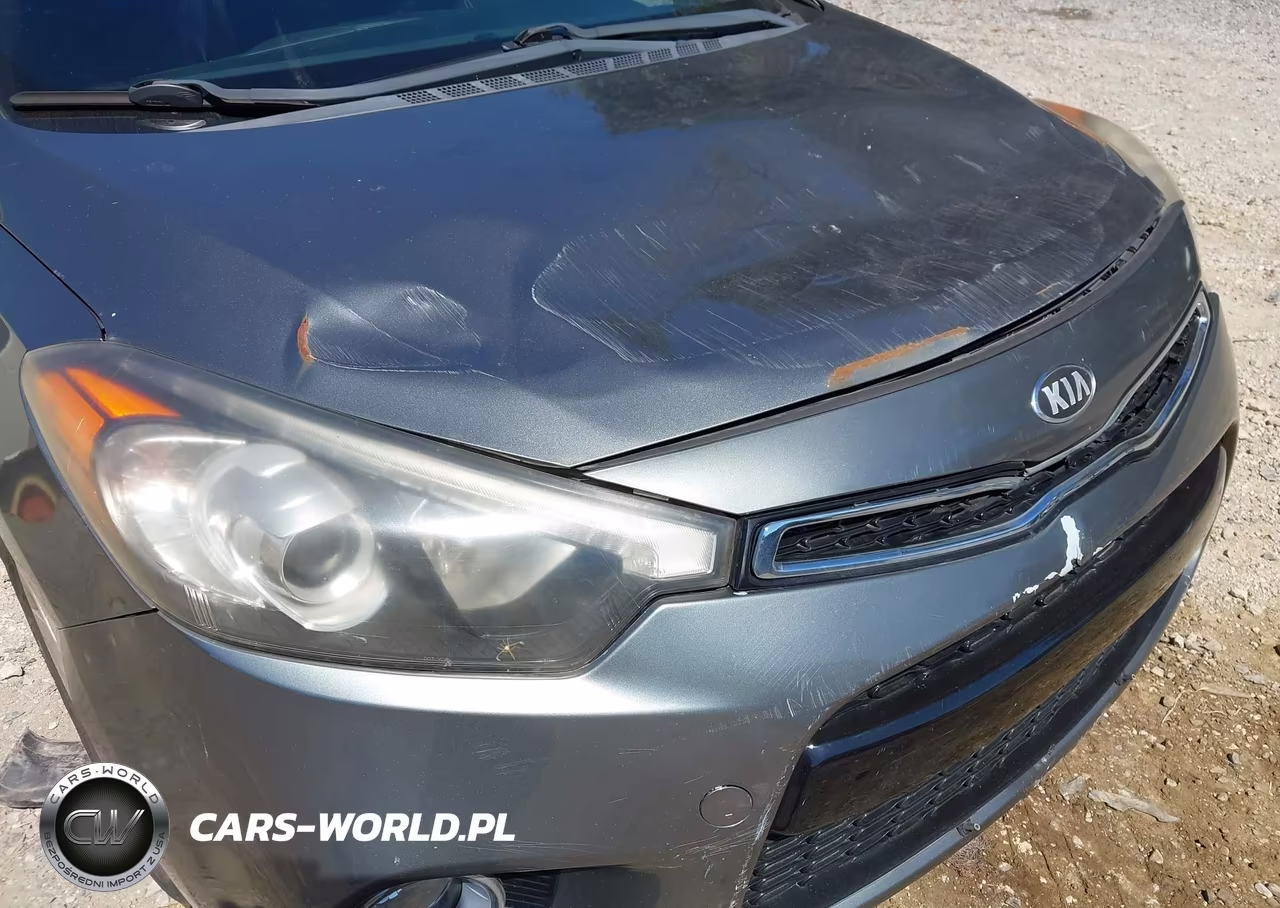 2014 Kia Forte Koup Ex VIN:KNAFX6A80E5196235 - 16