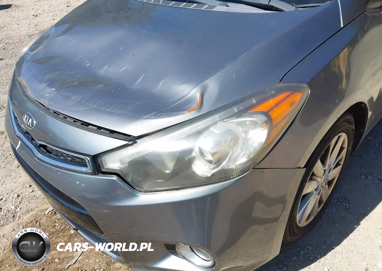 2014 Kia Forte Koup Ex VIN:KNAFX6A80E5196235 - 17