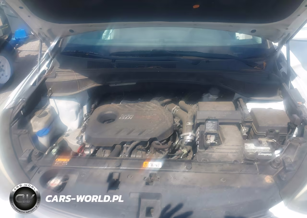 2017 Hyundai Santa Fe Sport 2.0T Ultimate VIN:5XYZW4LA1HG502474 - 10