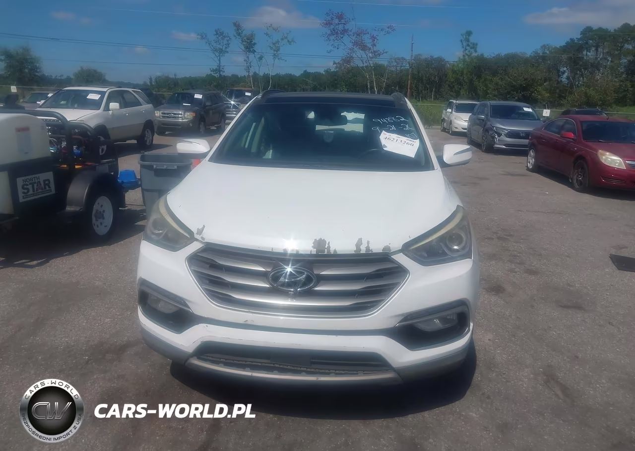 2017 Hyundai Santa Fe Sport 2.0T Ultimate VIN:5XYZW4LA1HG502474 - 12