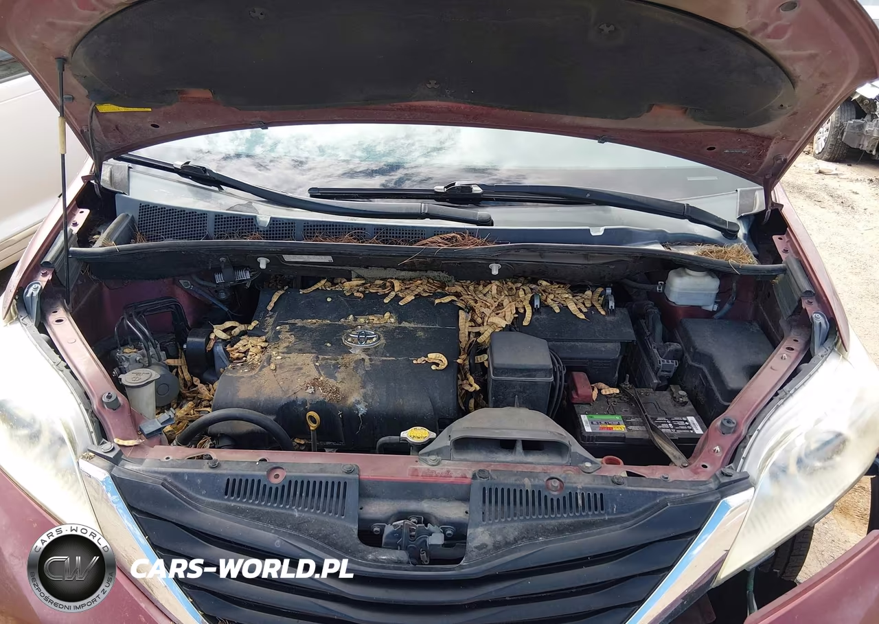 2011 Toyota Sienna Le V6 VIN:5TDKK3DC6BS155404 - 10