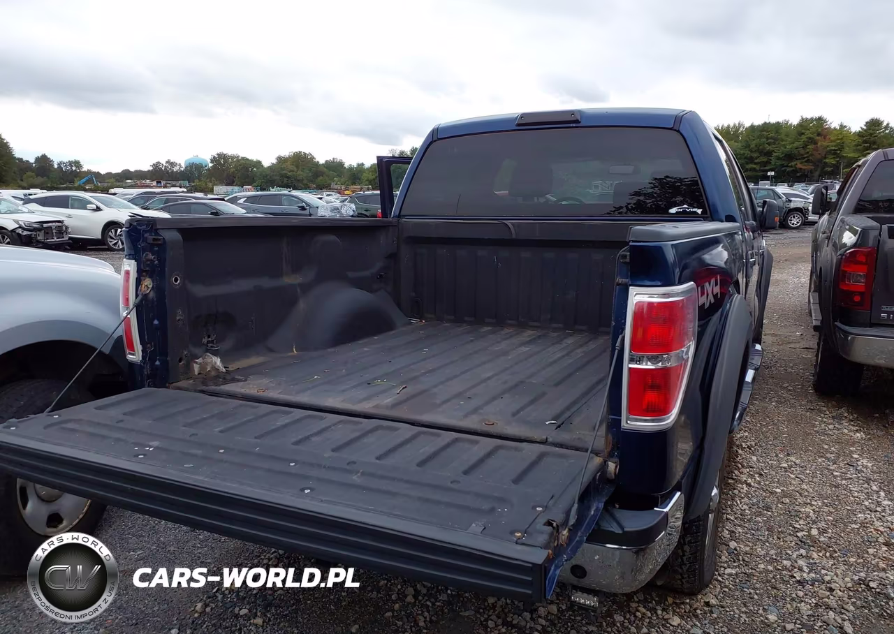 2009 Ford F-150 Xlt VIN:1FTRW14869FA89661 - 14