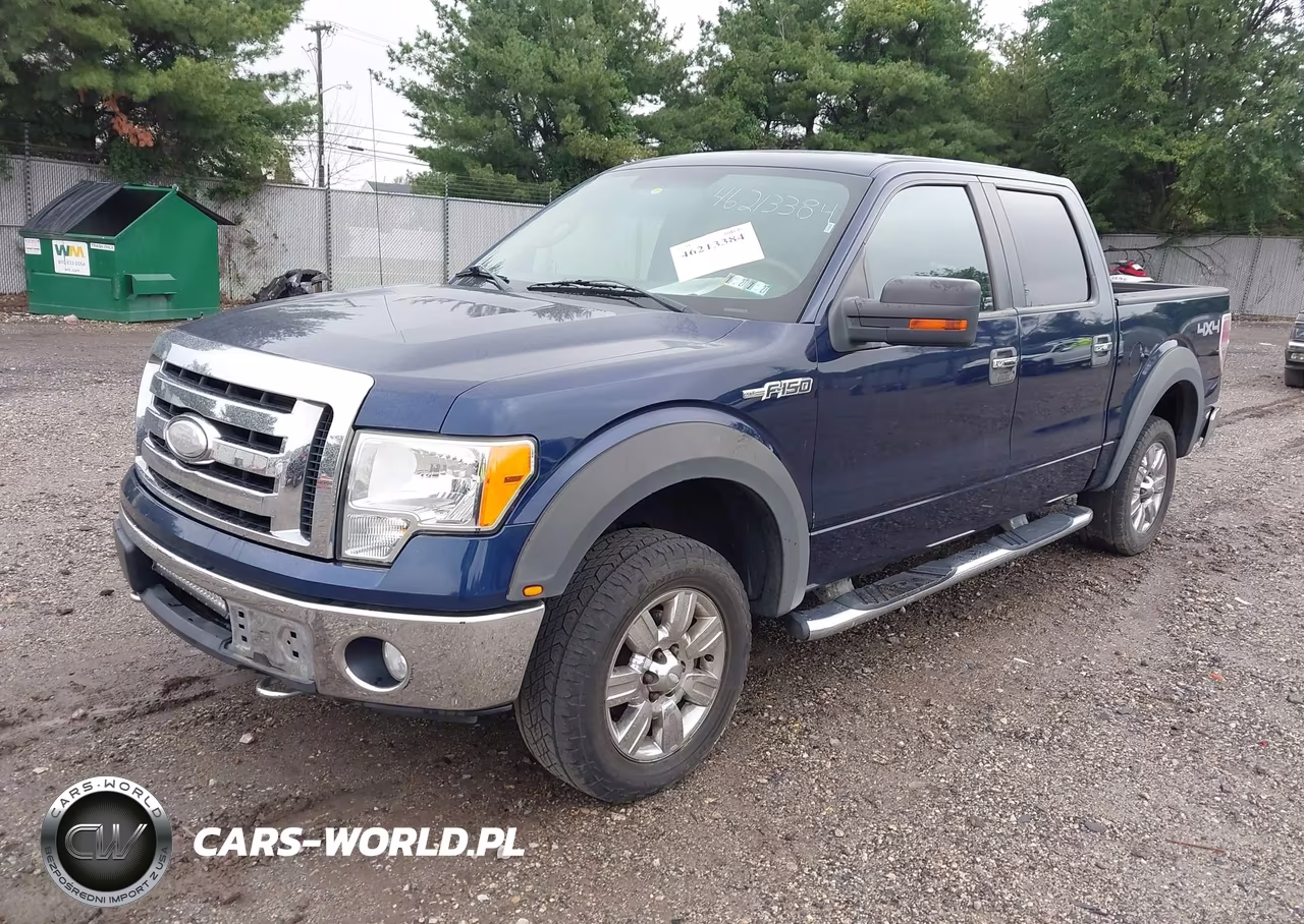 2009 Ford F-150 Xlt VIN:1FTRW14869FA89661 - 2
