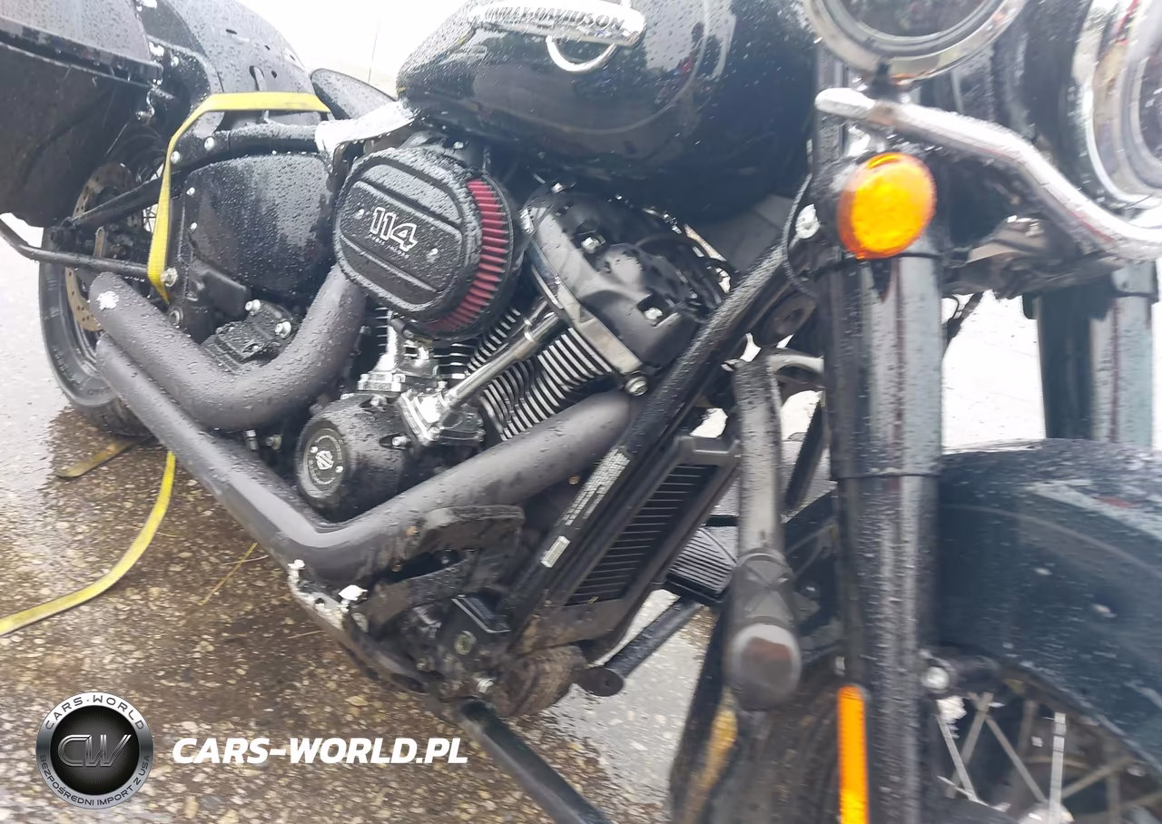 2019 Harley-Davidson Flhcs VIN:1HD1YBK28KB073825 - 8