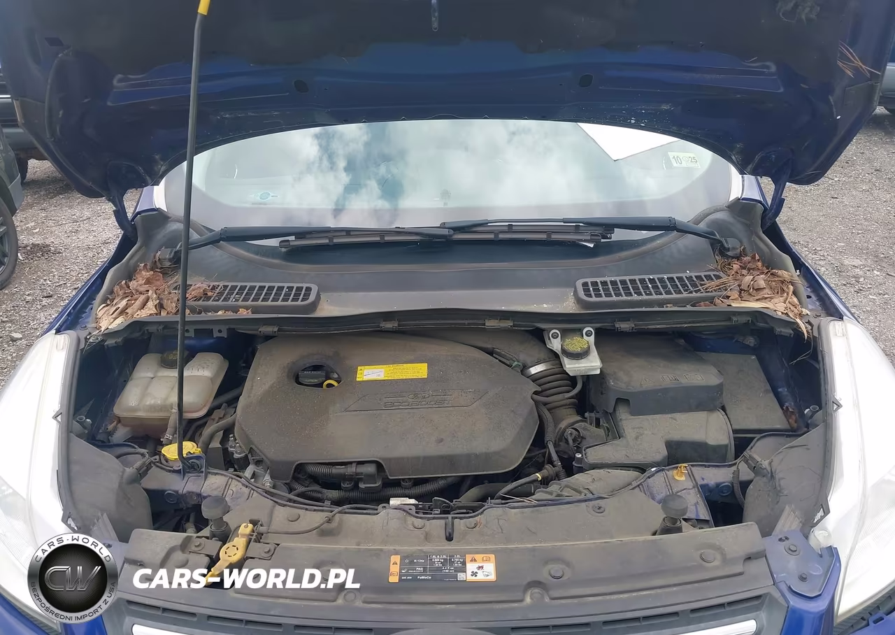 2016 Ford Escape Se VIN:1FMCU0GX2GUB67429 - 10