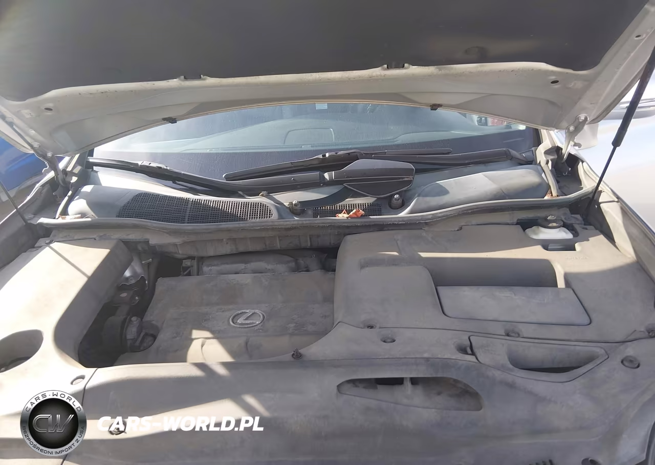2013 Lexus Rx 350 VIN:2T2BK1BA6DC210981 - 10
