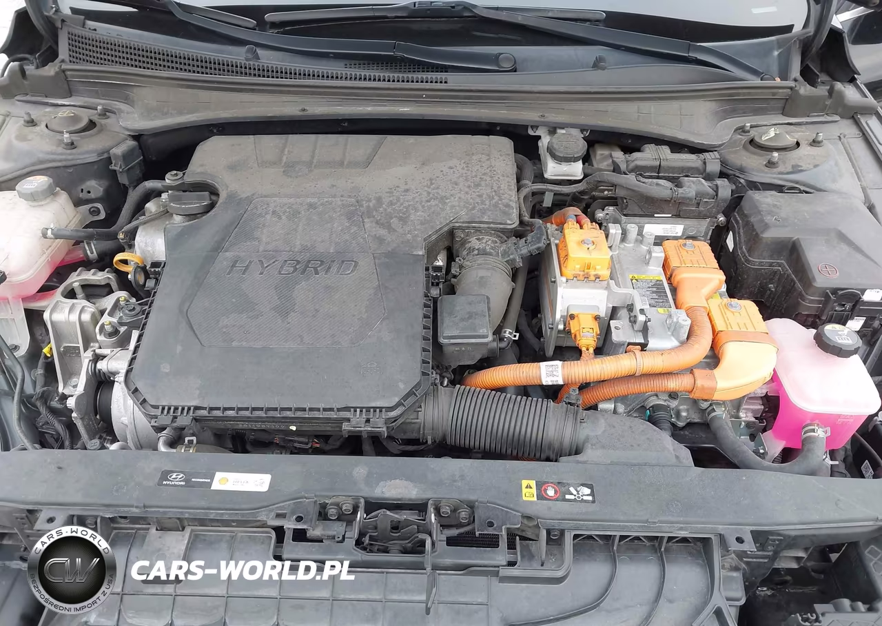 2023 Hyundai Elantra Hybrid Limited VIN:KMHLN4AJ1PU037795 - 10