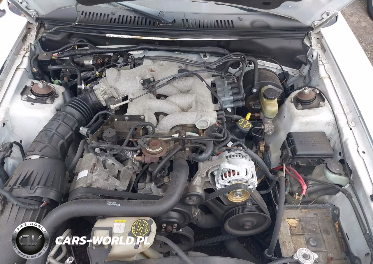2003 Ford Mustang VIN:1FAFP40463F365953 - 10