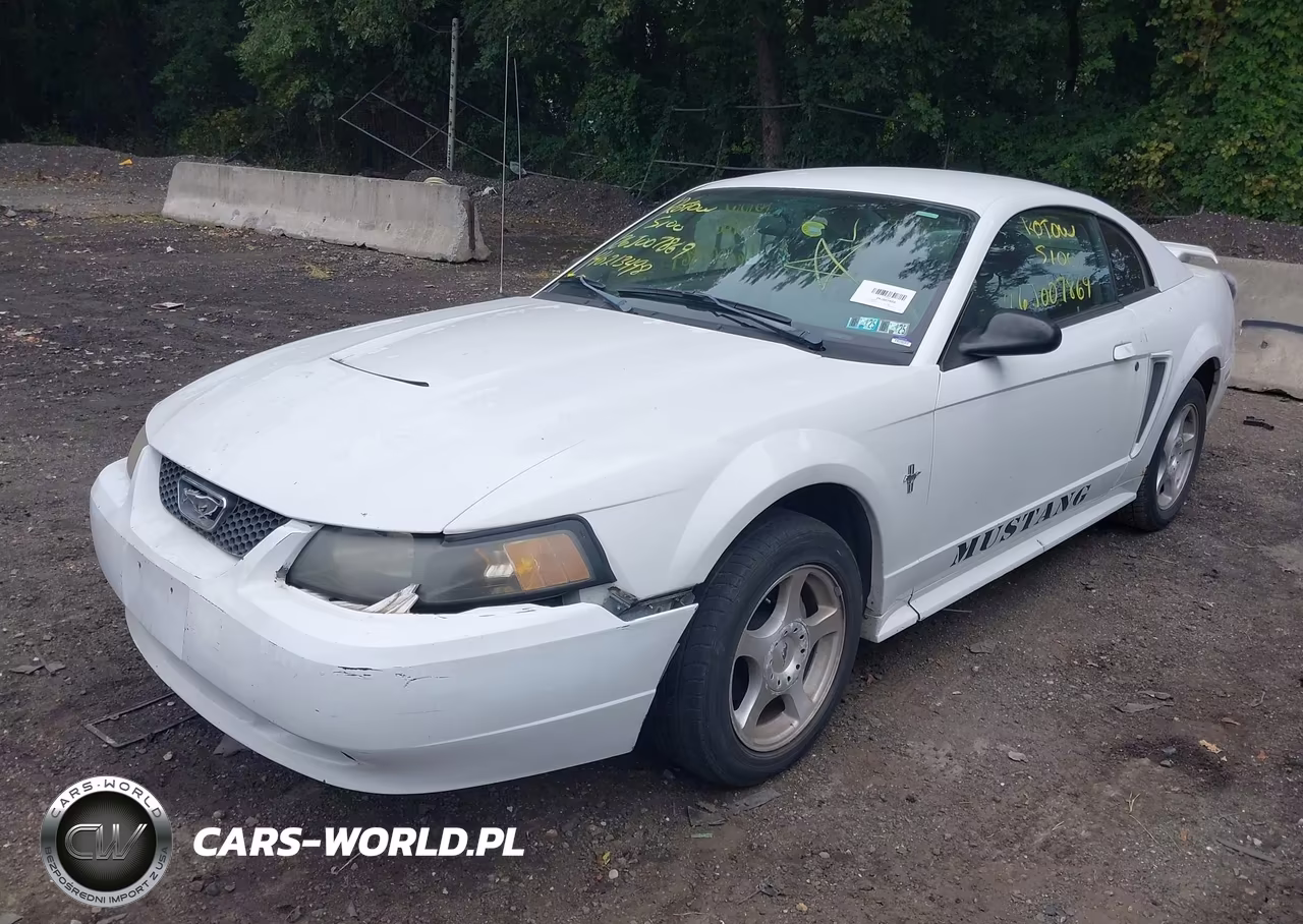 2003 Ford Mustang VIN:1FAFP40463F365953 - 2