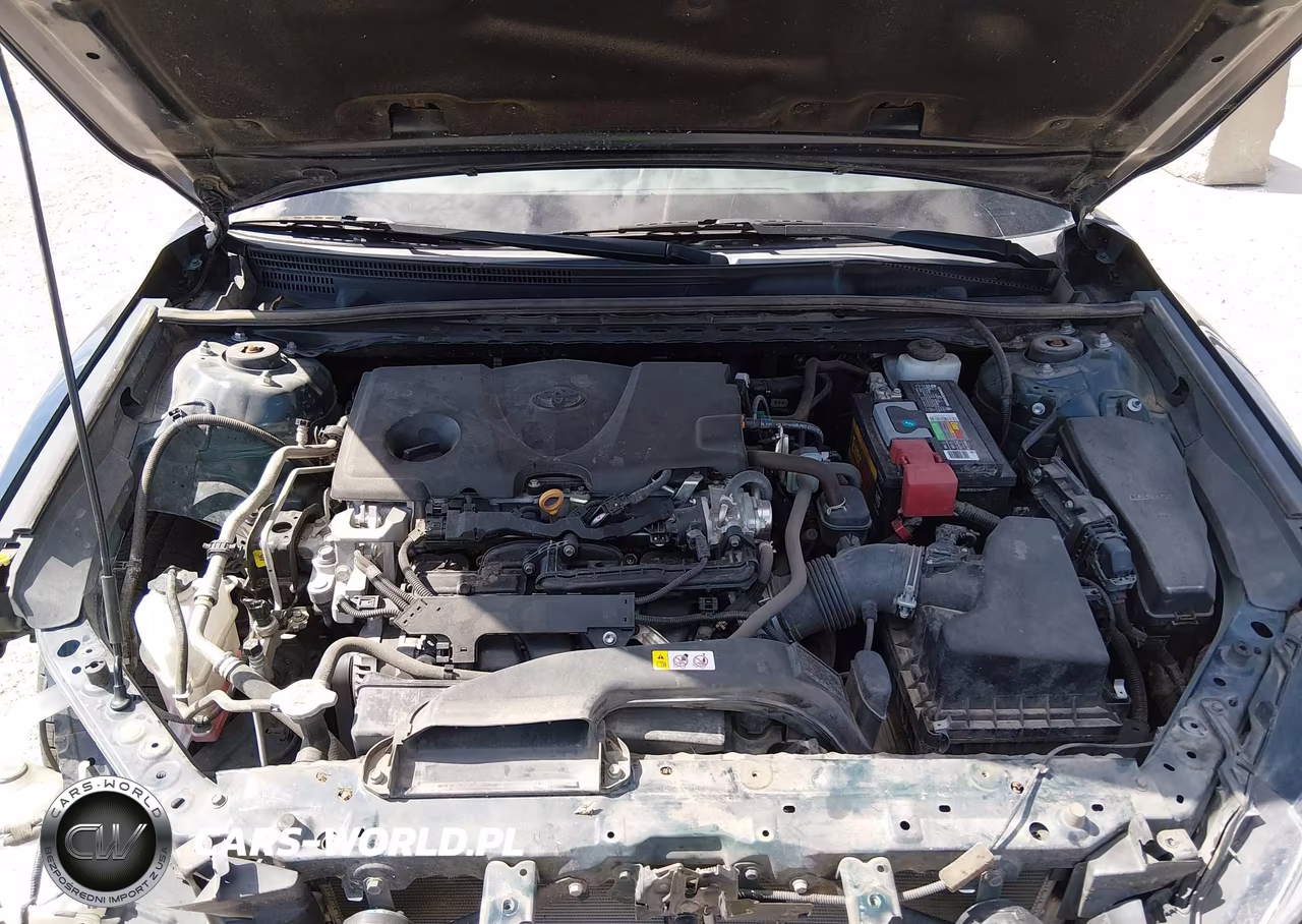 2021 Toyota Camry Le VIN:4T1C11AKXMU549828 - 10