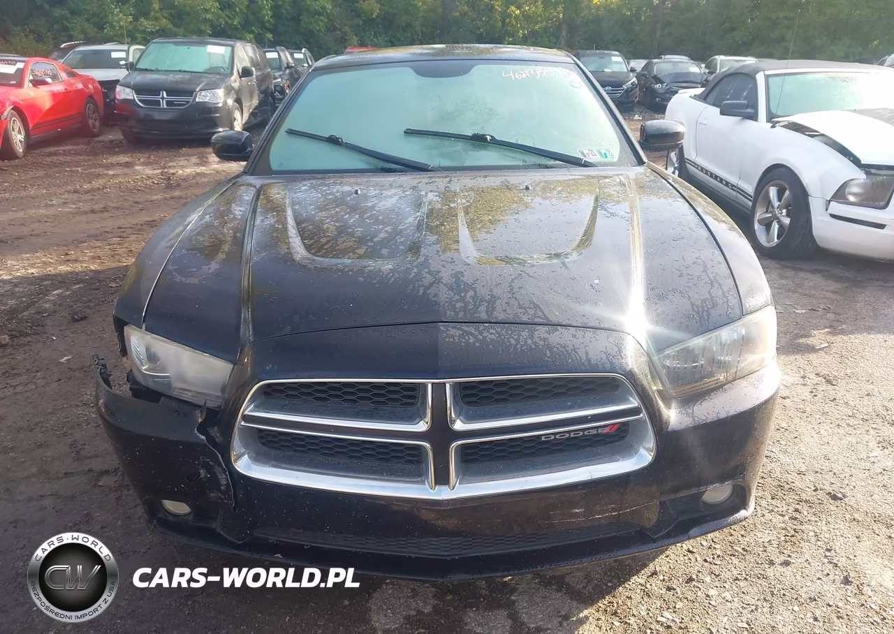 2012 Dodge Charger Sxt VIN:2C3CDXJG5CH183843 - 12
