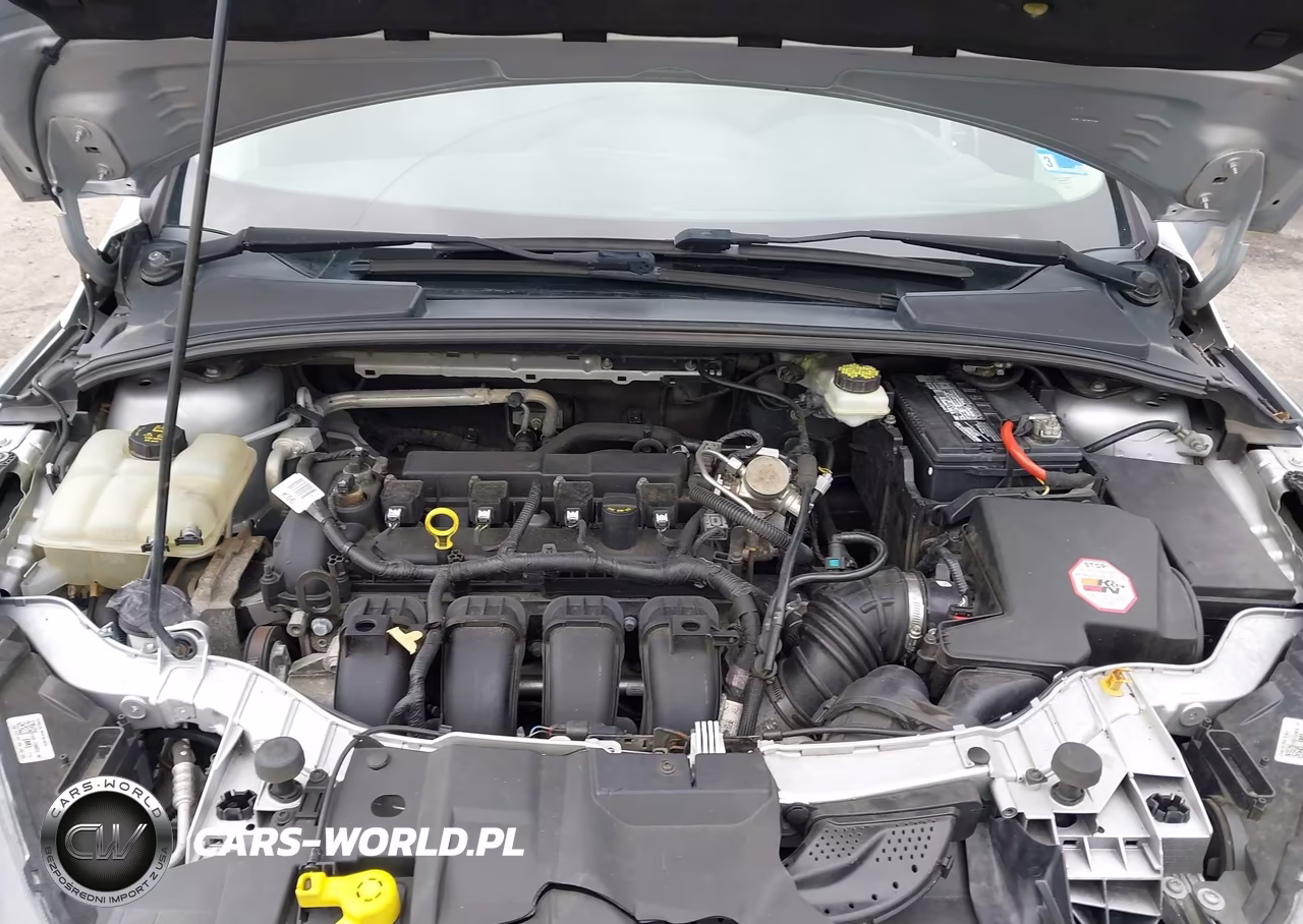 FORD FOCUS SEL VIN:1FADP3M26JL202339 - 10