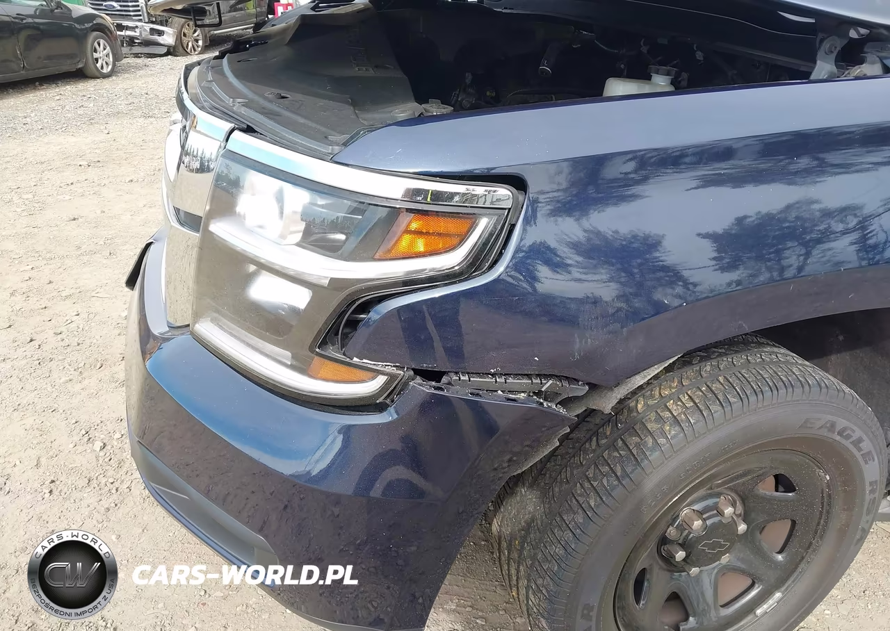 2020 Chevrolet Tahoe 2Wd Commercial Fleet VIN:1GNLCDEC6LR237436 - 18