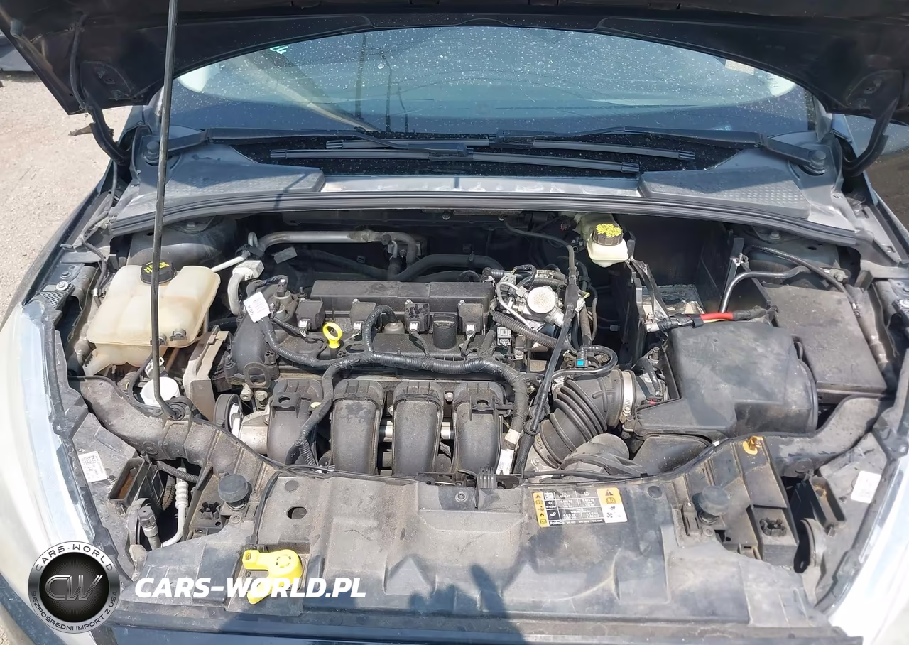 2017 Ford Focus Se VIN:1FADP3F26HL342396 - 10