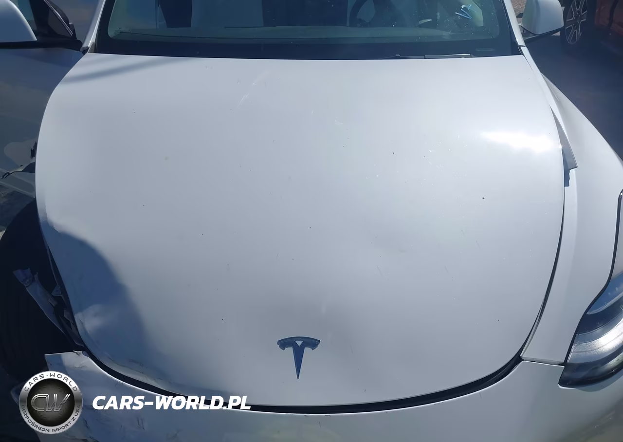 2021 Tesla Model Y Long Range Dual Motor All-Wheel Drive VIN:5YJYGDEE5MF251517 - 10