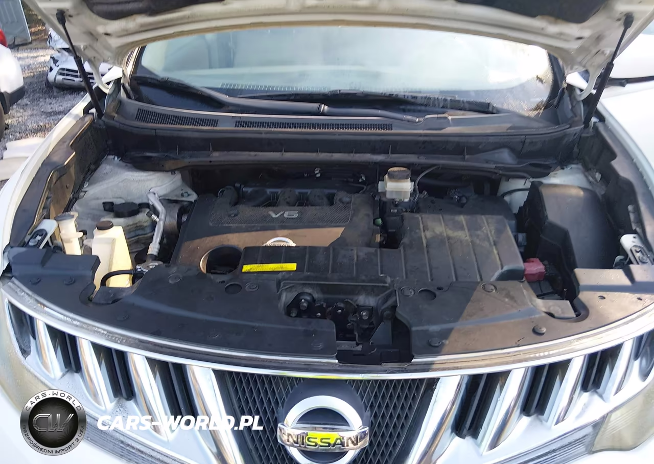 2010 Nissan Murano Sl VIN:JN8AZ1MW2AW128953 - 10