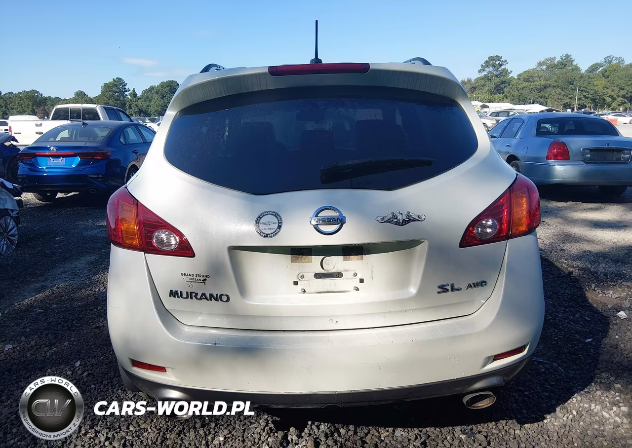 2010 Nissan Murano Sl VIN:JN8AZ1MW2AW128953 - 16