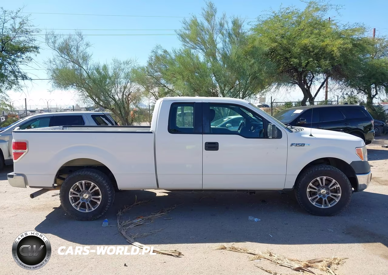 2013 Ford F-150 Xl VIN:1FTFX1CF7DKF21335 - 12