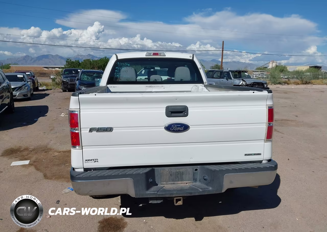 2013 Ford F-150 Xl VIN:1FTFX1CF7DKF21335 - 15