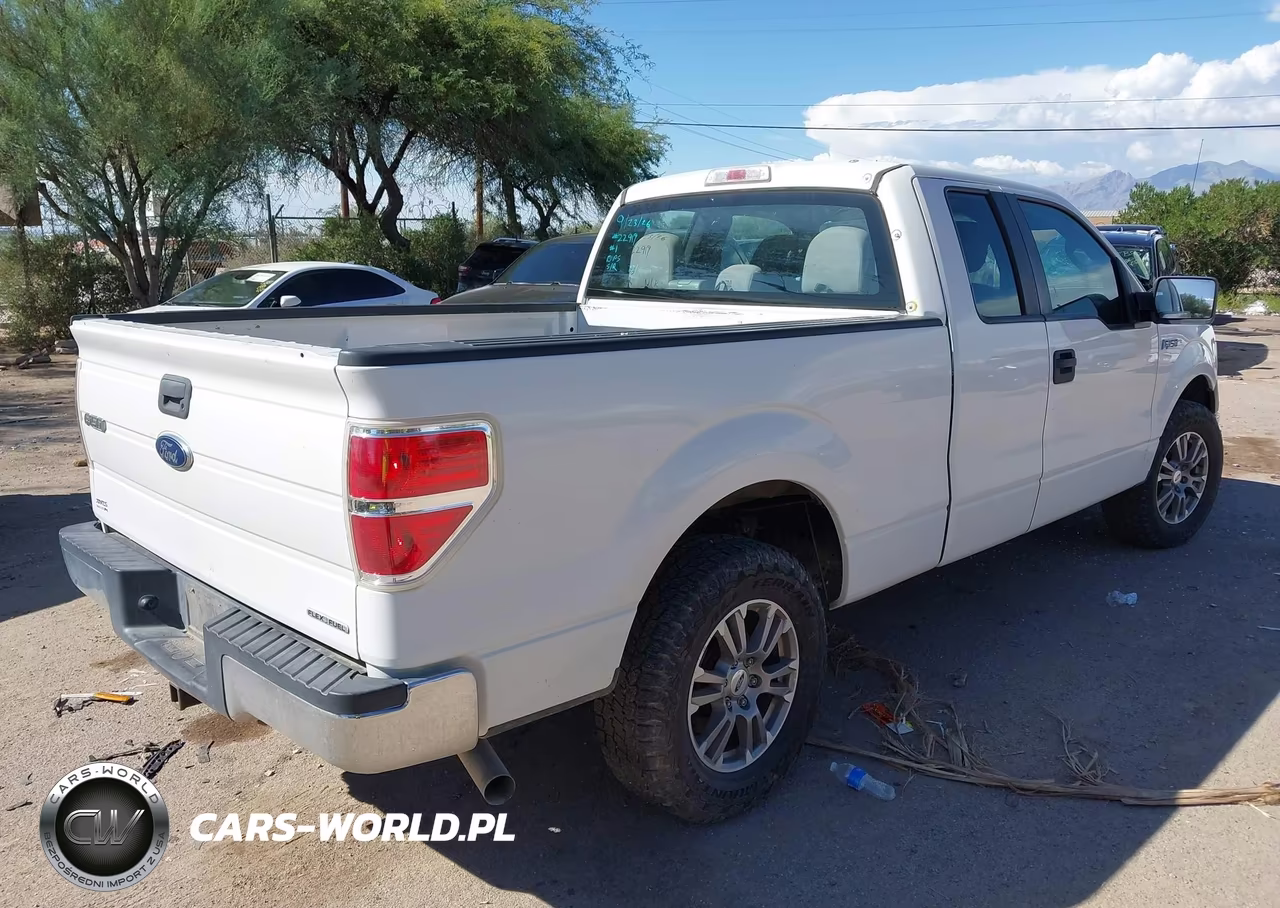 2013 Ford F-150 Xl VIN:1FTFX1CF7DKF21335 - 4