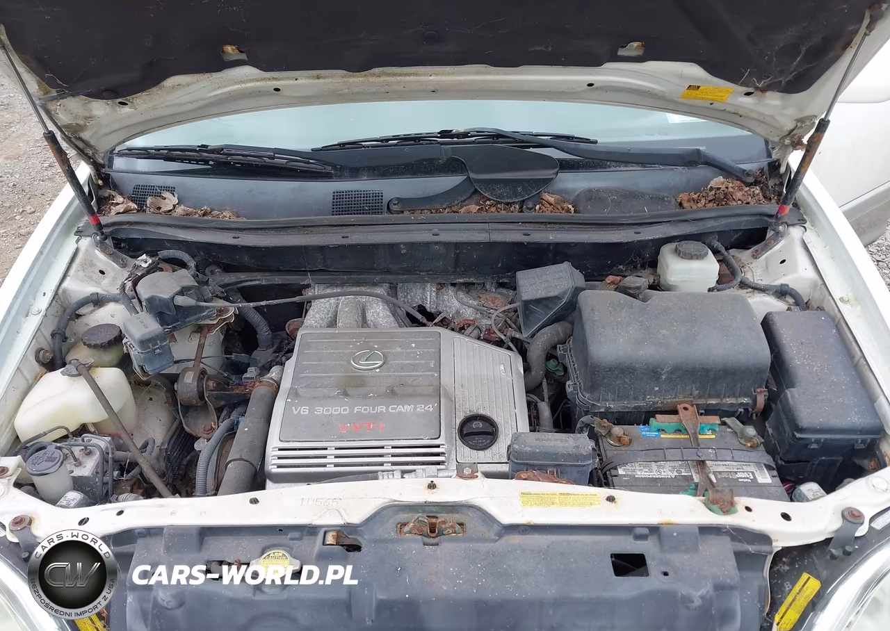 2003 Lexus Rx 300 VIN:JTJHF10U530298962 - 10