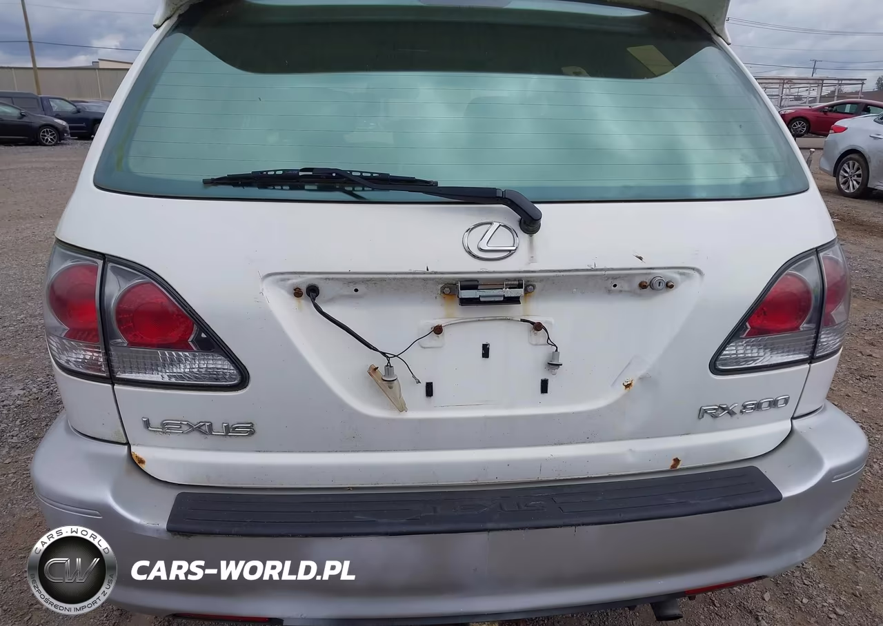 2003 Lexus Rx 300 VIN:JTJHF10U530298962 - 12