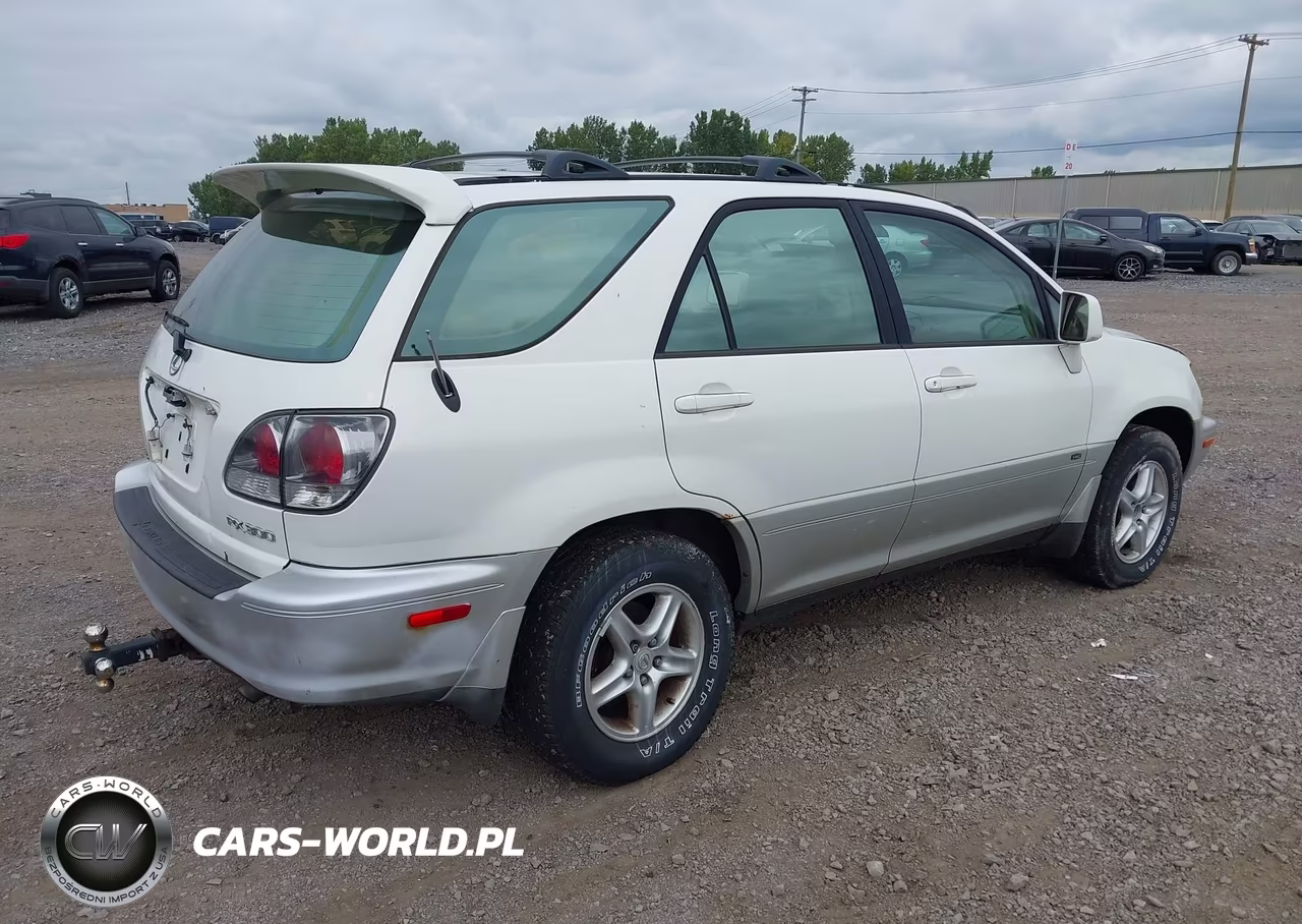 2003 Lexus Rx 300 VIN:JTJHF10U530298962 - 4