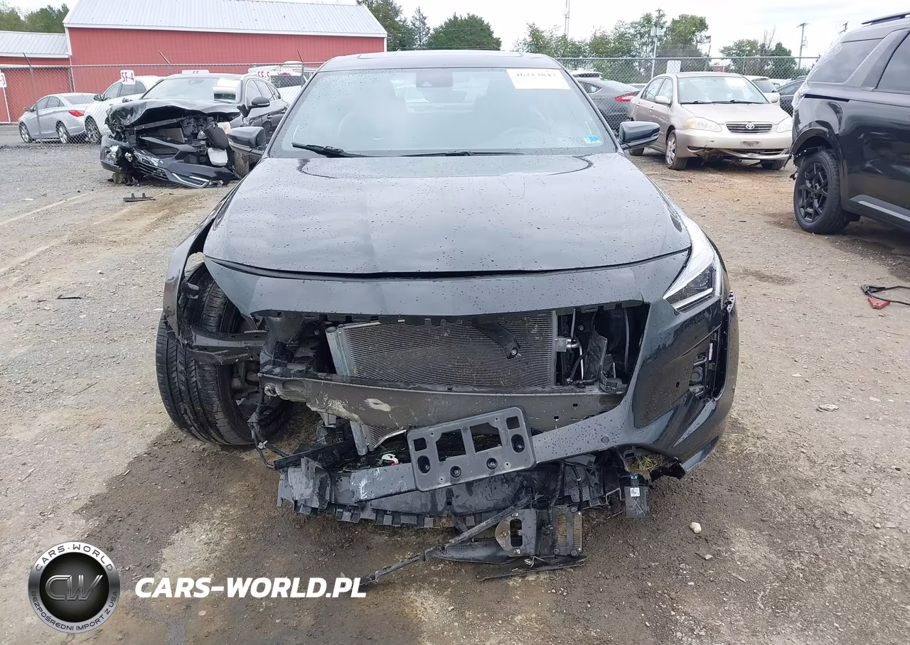 2020 Cadillac Ct6 Awd Premium Luxury VIN:1G6KE5RS9LU104773 - 6