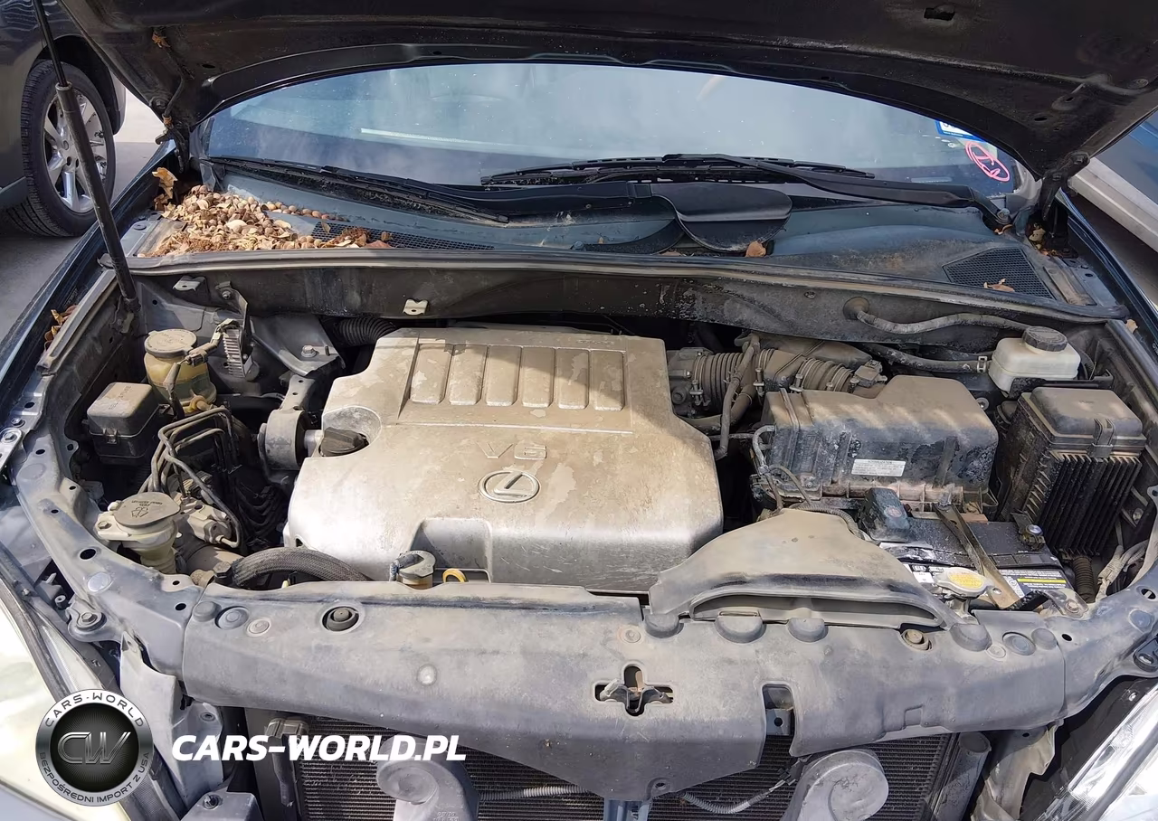 2009 Lexus Rx 350 VIN:2T2GK31U09C077428 - 10