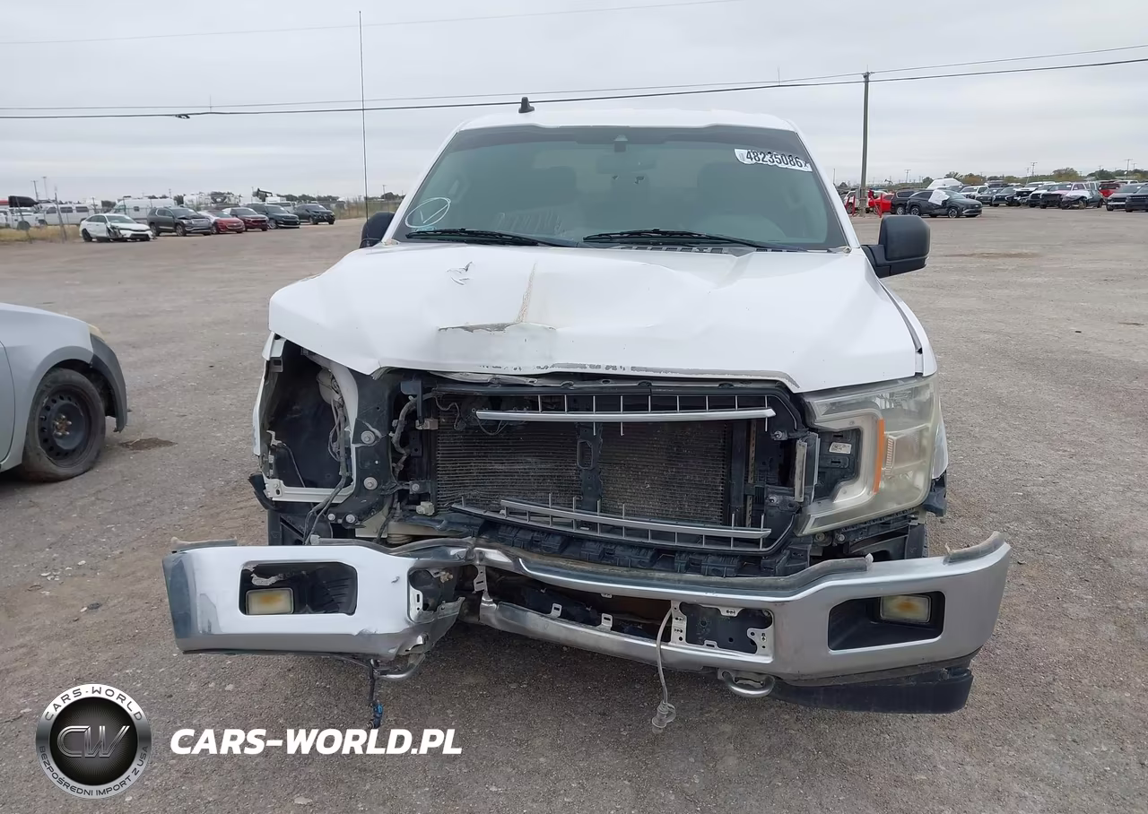 2019 Ford F-150 Xlt VIN:1FTFW1E52KKD29714 - 12