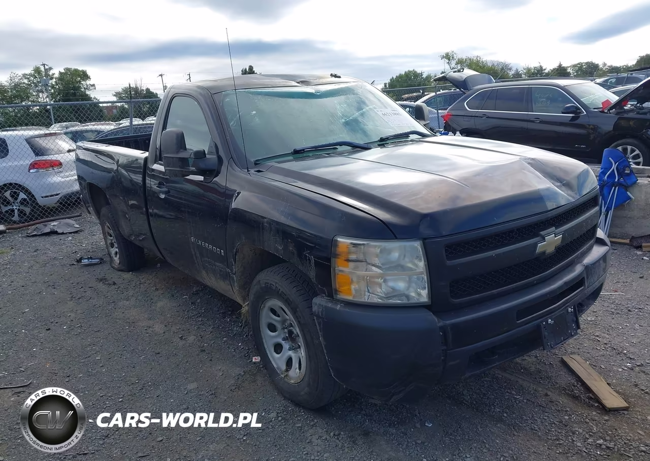 2009 Chevrolet Silverado 1500 Work Truck