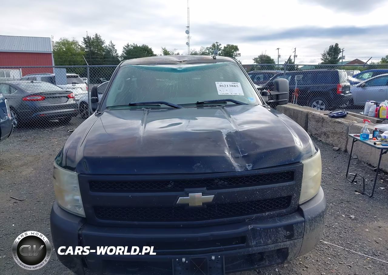 2009 Chevrolet Silverado 1500 Work Truck VIN:1GCEC14X89Z217105 - 12