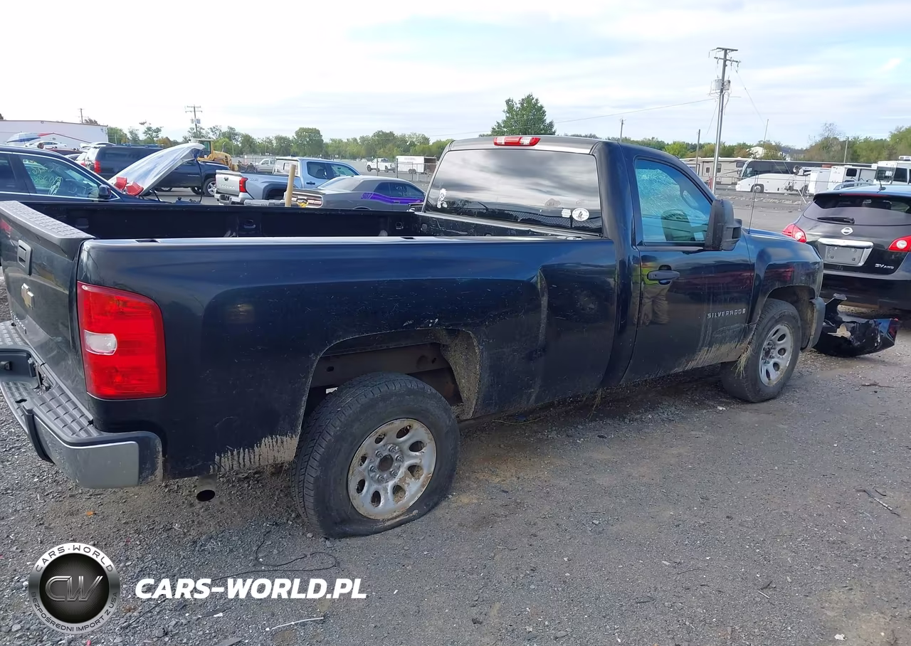2009 Chevrolet Silverado 1500 Work Truck VIN:1GCEC14X89Z217105 - 13