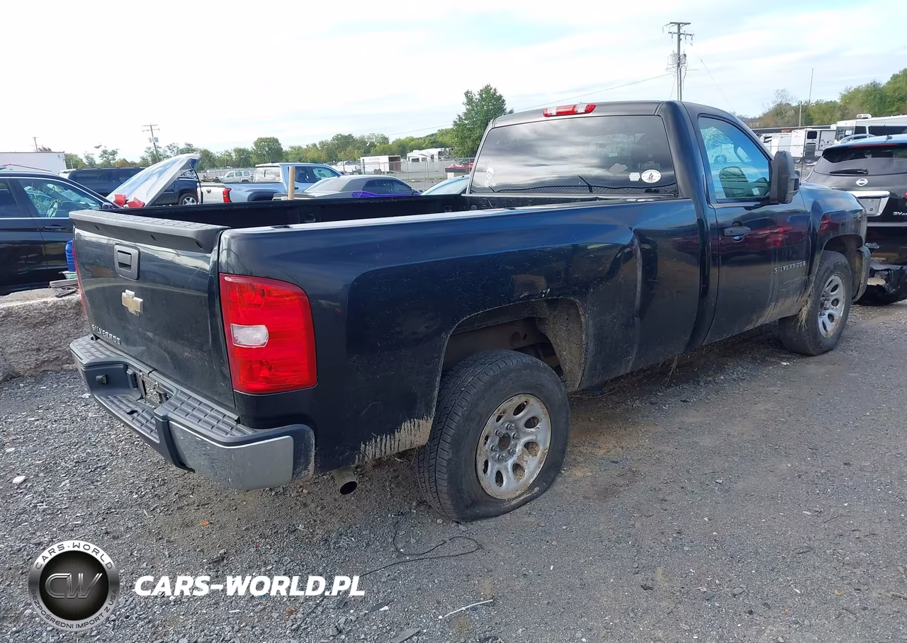2009 Chevrolet Silverado 1500 Work Truck VIN:1GCEC14X89Z217105 - 4
