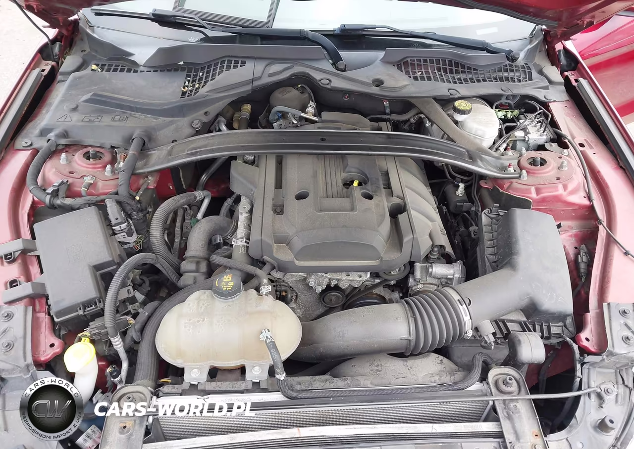 2018 Ford Mustang Ecoboost VIN:1FA6P8TH3J5182373 - 10
